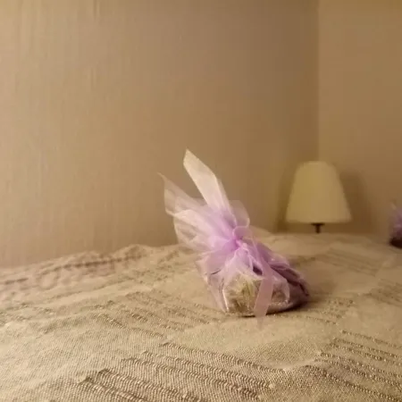 Baross דירה טפולצה