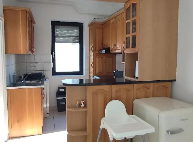 Baross Daire Tapolca